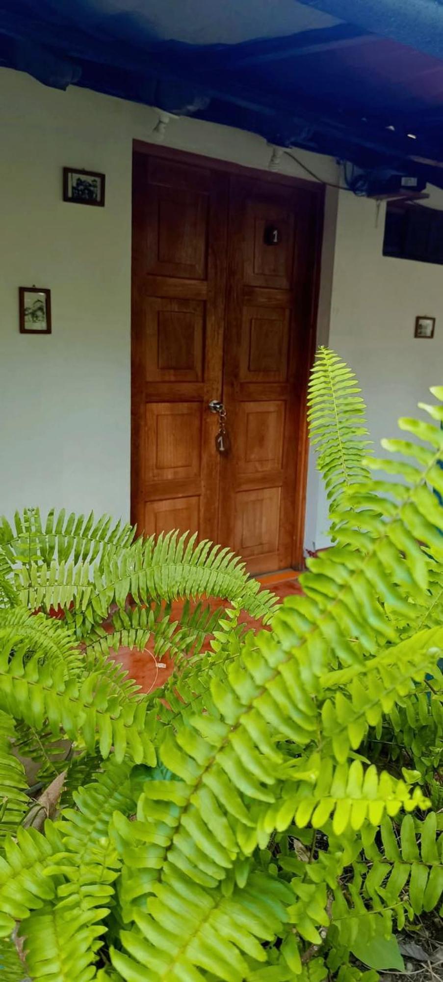 לאון Casa De Los Berrios מראה חיצוני תמונה